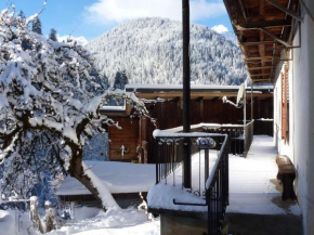 Appart spacieux dans chalet traditionnel avec balcon pour 5 pers. à Arêches-Beaufort - FR-1-342-146